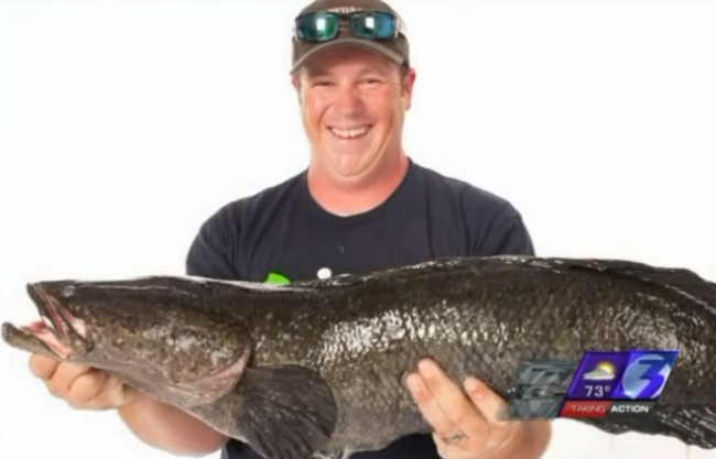 A Virginia Man Set The World Record For Catching A 'Frankenfish'