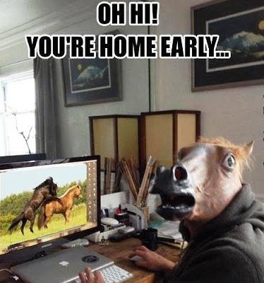 Horse Porn 