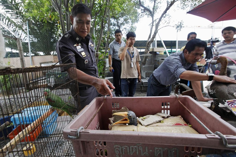 Thai police said they confiscated more than a thousand wildlife animals on Monday June 10th