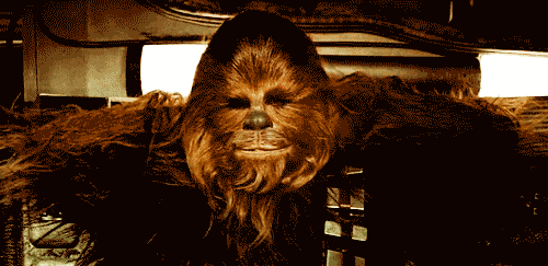 Roar Into Tuesday With These Chewbacca GIFs 