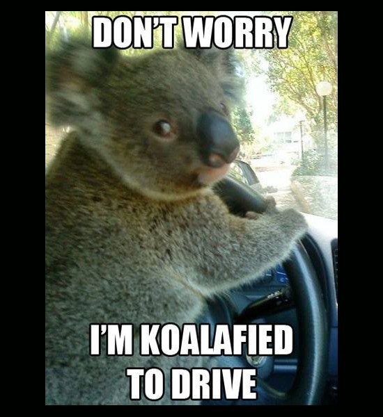 Koalafied 