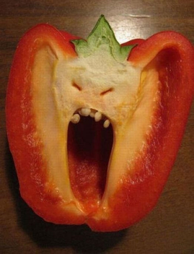 This must be the pepper’s natural defense mechanism…terrifying.
