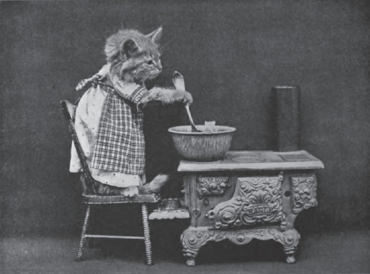 LOLCats From Yesteryears: Photographs by Harry Whittier Frees
