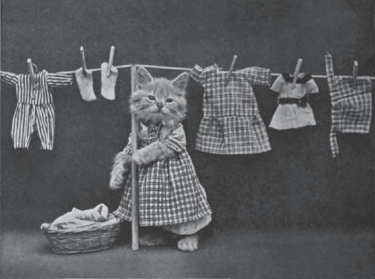 LOLCats From Yesteryears: Photographs by Harry Whittier Frees