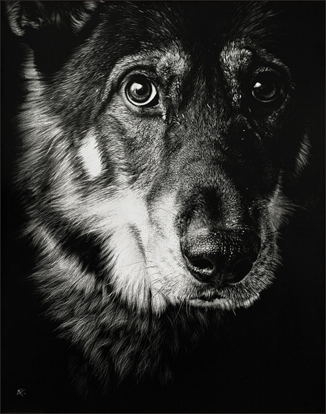 Beautiful, realistic dog portraits made by scraping ink off of clay