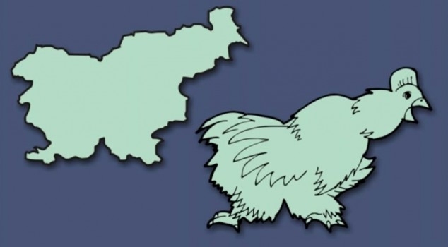 Slovenia, Chicken