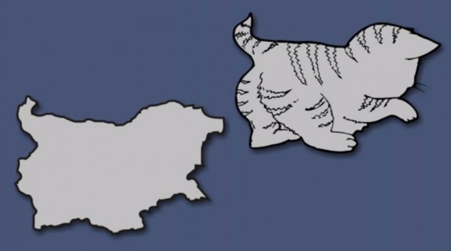 Bulgaria, Kitten