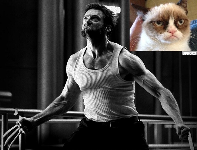 This New International Trailer For 'The Wolverine' Is Pretty Okay