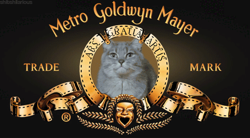 MGM Cat 