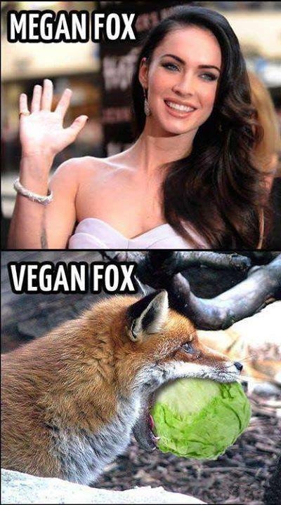 Megan Fox 