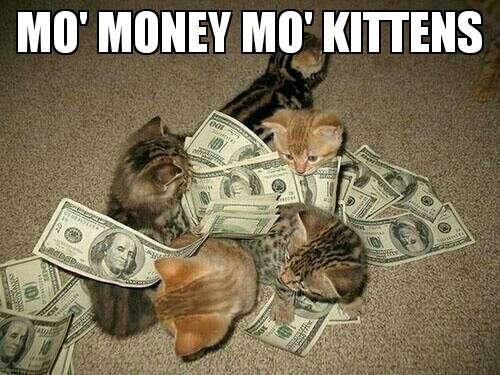 Mo Money Mo Kittens 