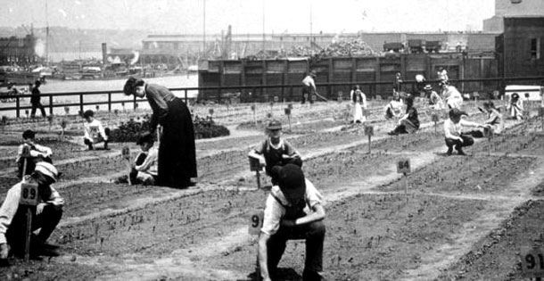 Vintage Photographs Of Life In 19th Century New York City 