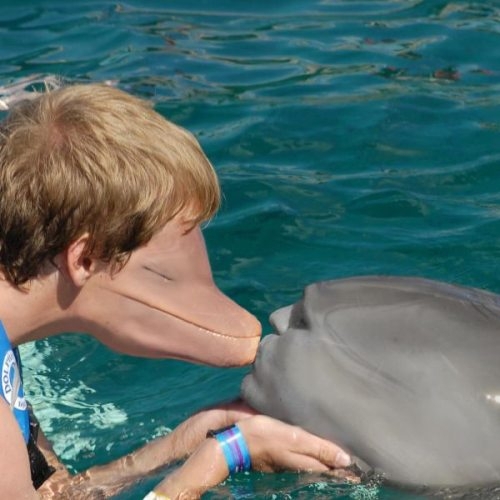 Kissing The Dolphin 