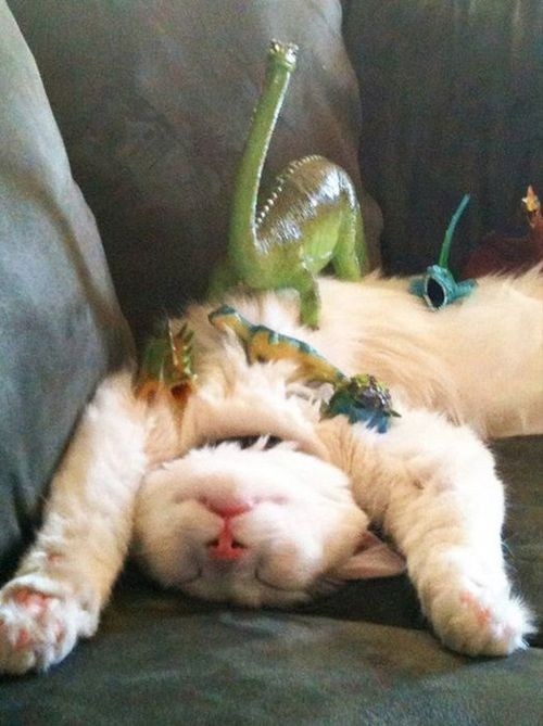 13 Animals Who Are Excited That 'Jurassic Park 4' Is Back On