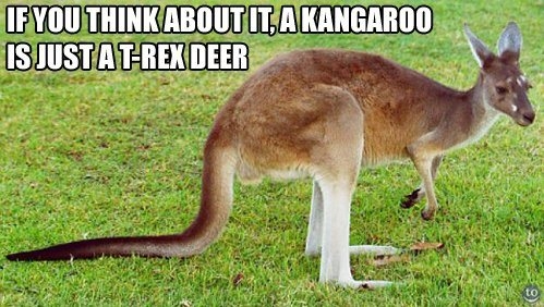Kangaroo:  T-Rex Deer 