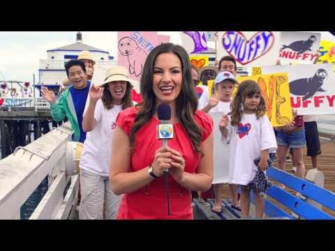 Watch a Surprising Commercial for Discovery’s Shark Week 