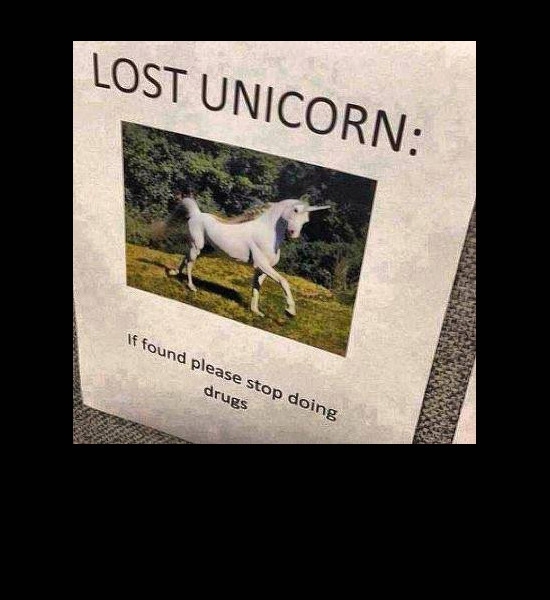 Lost Unicorn 