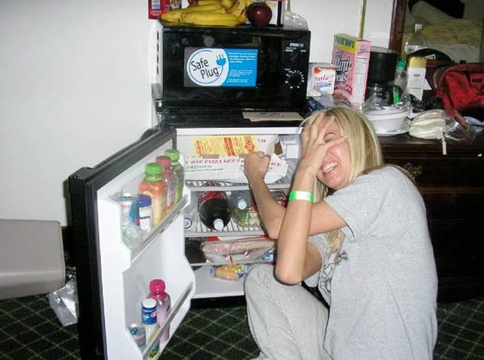 Hot Girls And Fridges 