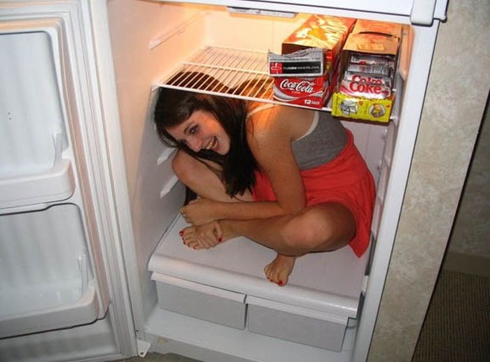 Hot Girls And Fridges 