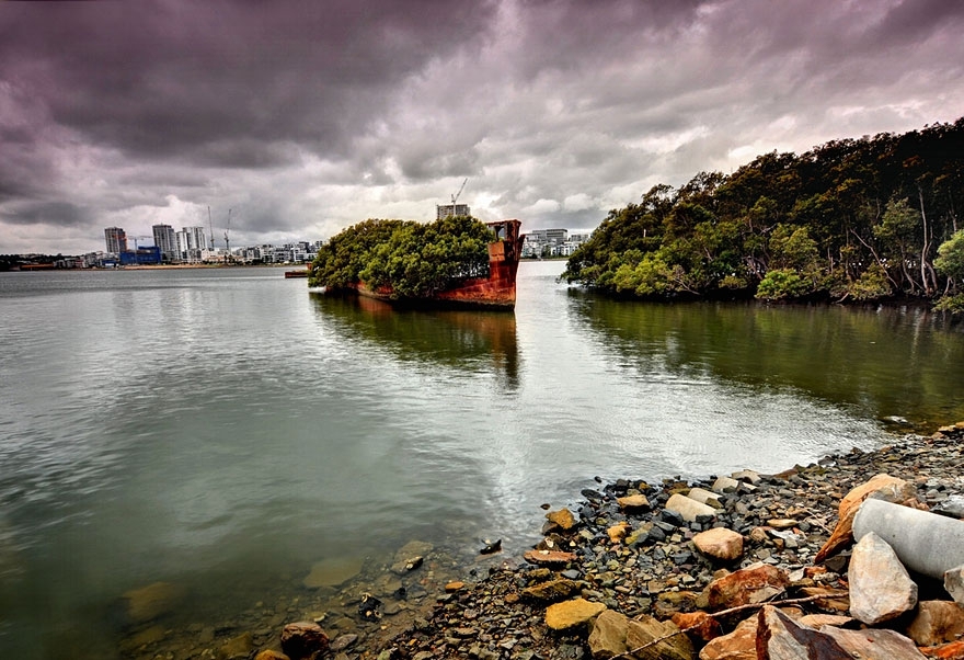 102-Year-Old Ship in Sydney Became A Floating Forest 