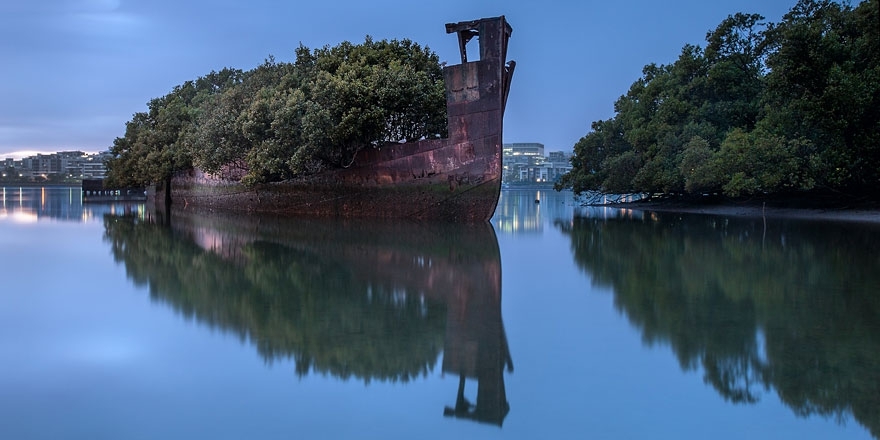 102-Year-Old Ship in Sydney Became A Floating Forest 