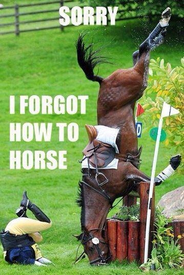 Forgot How To Horse 