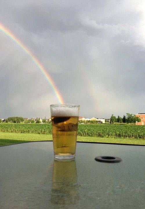 Rainbow Beer 