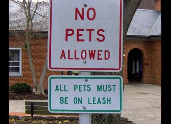 No Pets Allowed 