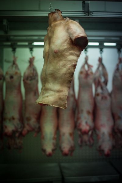 Human Flesh Meat Market [pics/video]
