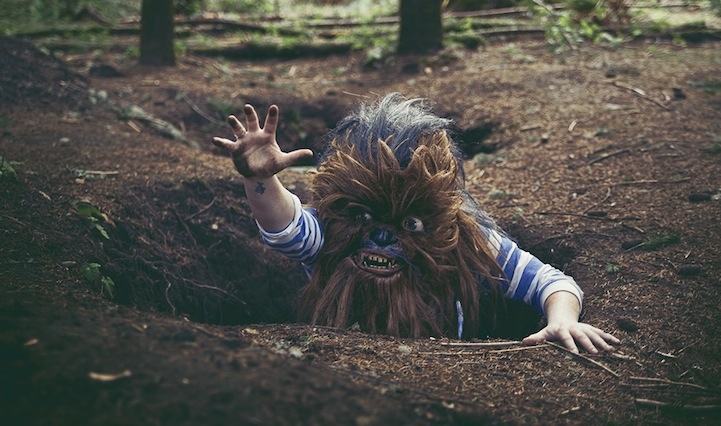 Hilarious Look at the Everyday Life of Wookiees 