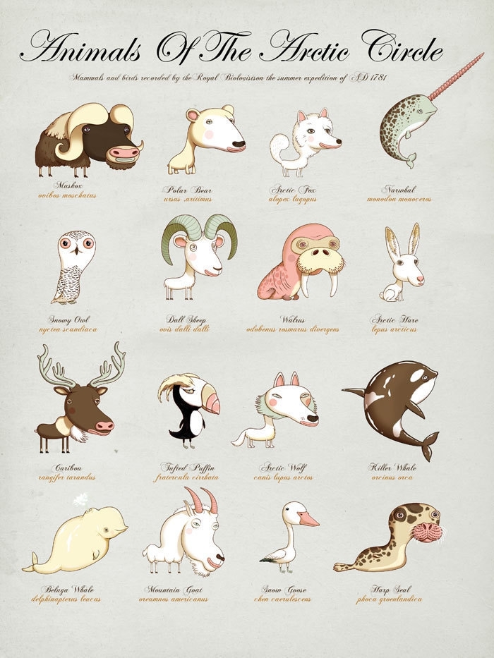 Playful Posters Feature Animals Around the World 