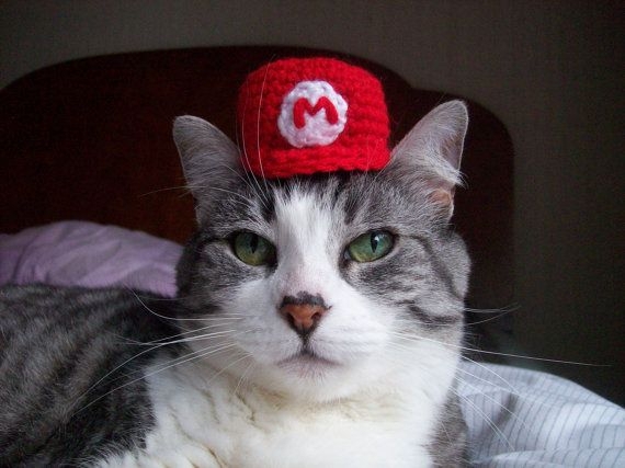 A Selection Of Funny Hats On Even Cuter Cats 