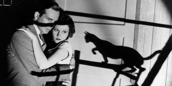 5 Films With Cat Based Horror Mayhem