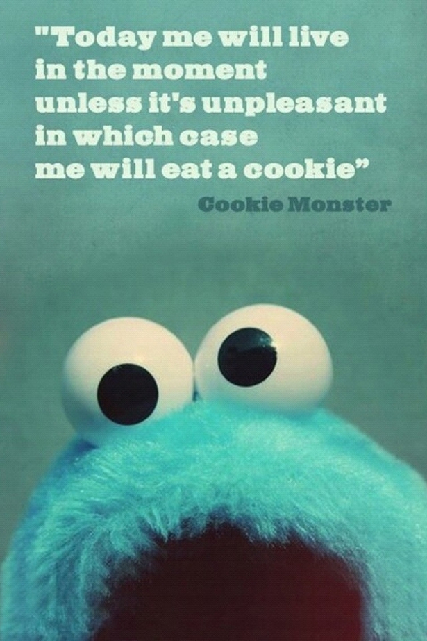 Cookie Monster 
