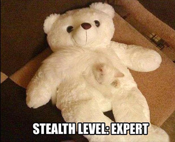 Stealth Level..