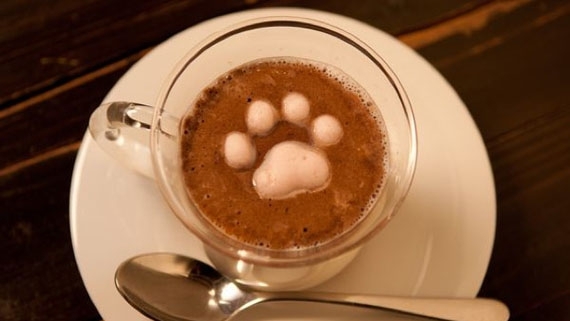 Fake Latte Art With Kitty Marshmallows