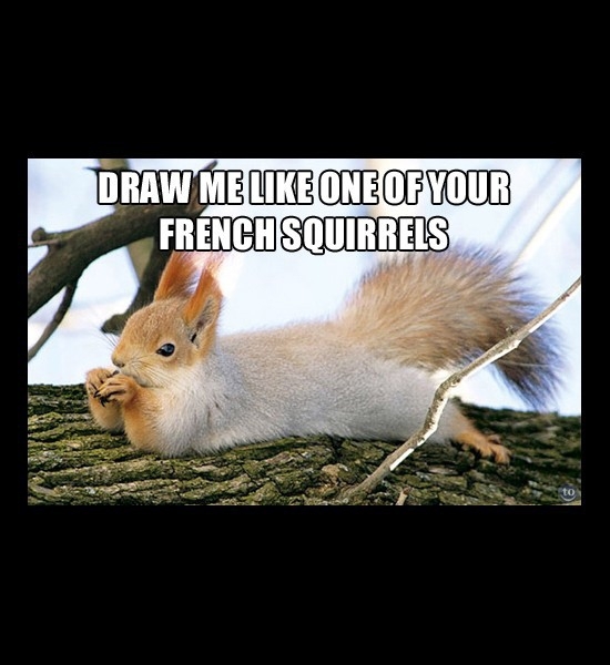 French Squirrel 