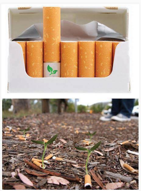 Biodegradable Cigarette Butts That Grow Into Flowers... Smoked a cigar
