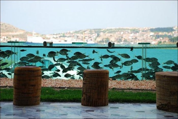 Aquarium Fence 