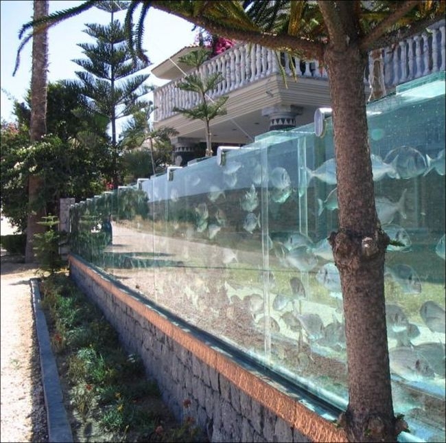 Aquarium Fence 