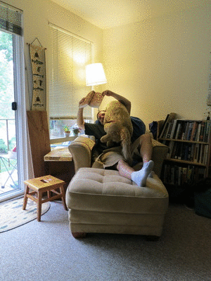 Guy Introduces You to His Roommate’s Stuffed Dog