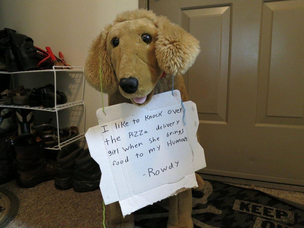 Guy Introduces You to His Roommate’s Stuffed Dog