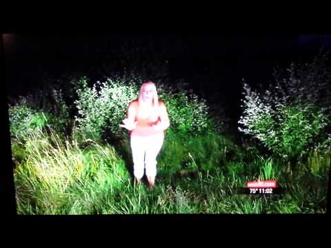 News Reporter’s Bear Attack Piece Is Completely Ridiculous 