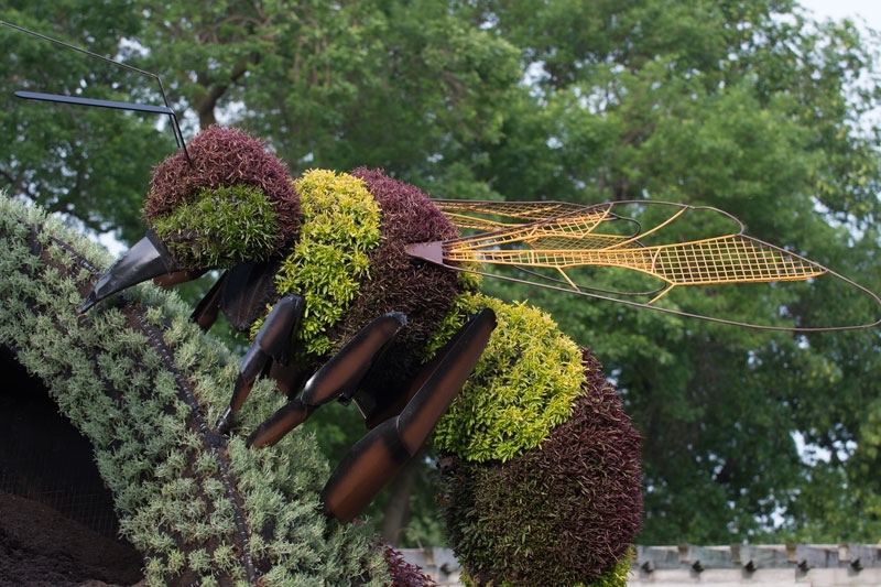 Jaw-Dropping Plant Sculptures from Mosaiculture International 2013 