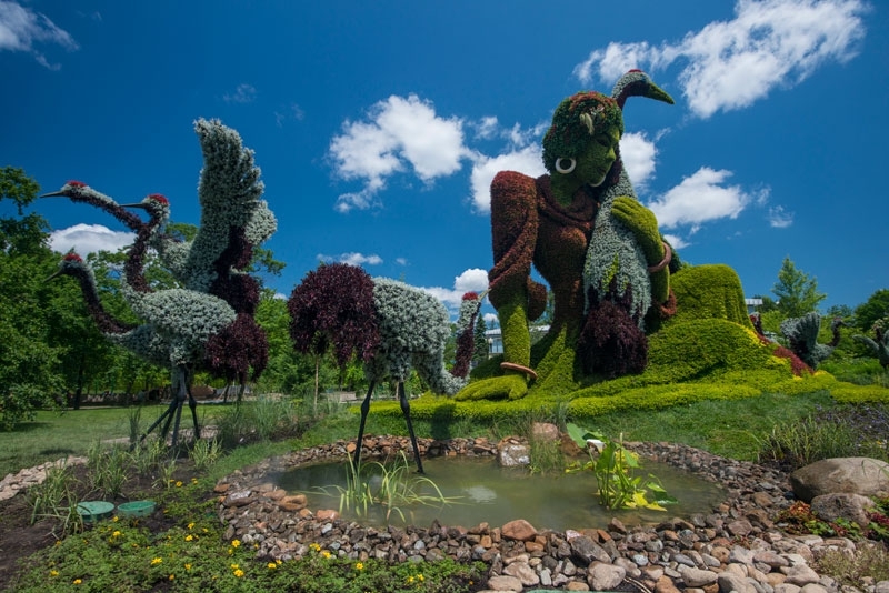 Jaw-Dropping Plant Sculptures from Mosaiculture International 2013 