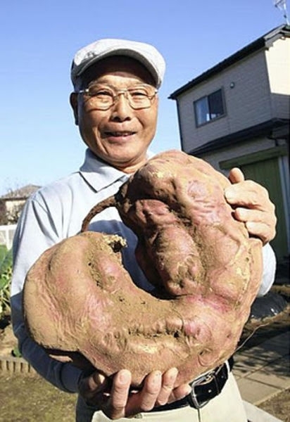 Mutant Produce from Japan 