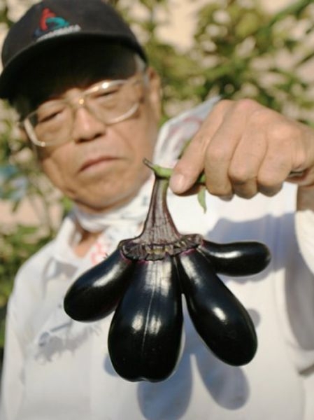 Mutant Produce from Japan 