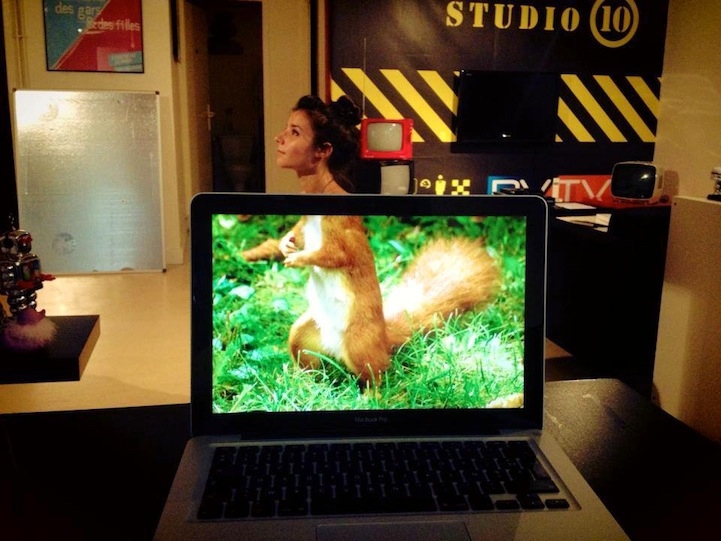Funny Photos of Coworkers Aligned with Animal Bodies