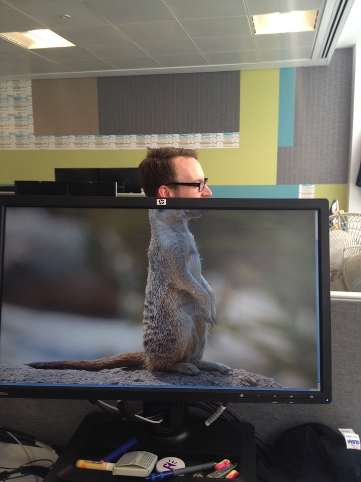 Funny Photos of Coworkers Aligned with Animal Bodies