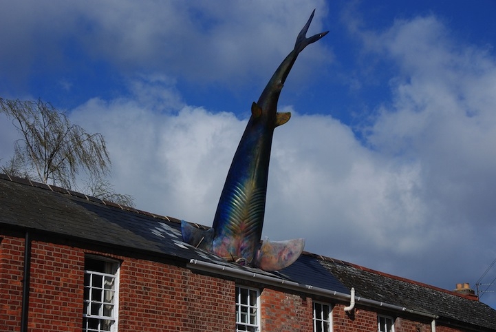 Surreal Shark Crashes Head-First Through a House